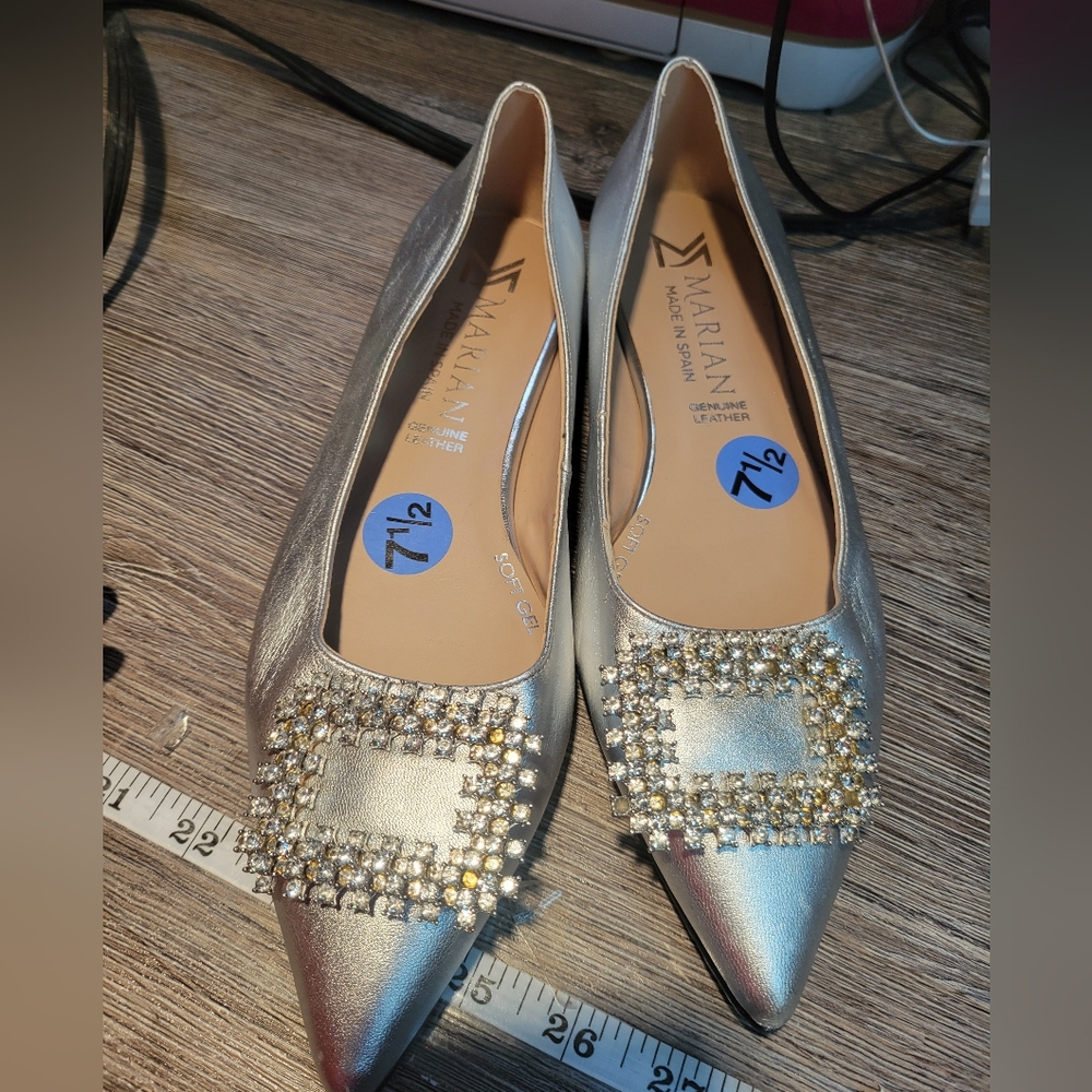 Mariana Metallic Silver Pointed Flats with Crystal Buckle
